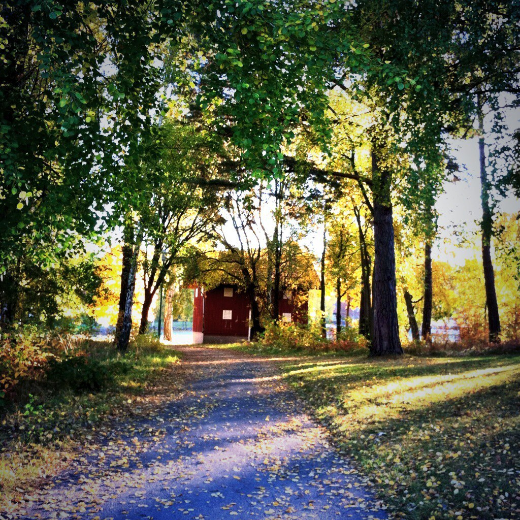 A Fall Walk in #mymariestad