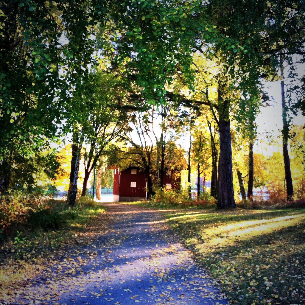 My View... Fall Walk